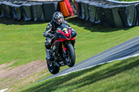 Oulton-Park-20th-March-2020;PJ-Motorsport-Photography-2020;anglesey;brands-hatch;cadwell-park;croft;donington-park;enduro-digital-images;event-digital-images;eventdigitalimages;mallory;no-limits;oulton-park;peter-wileman-photography;racing-digital-images;silverstone;snetterton;trackday-digital-images;trackday-photos;vmcc-banbury-run;welsh-2-day-enduro